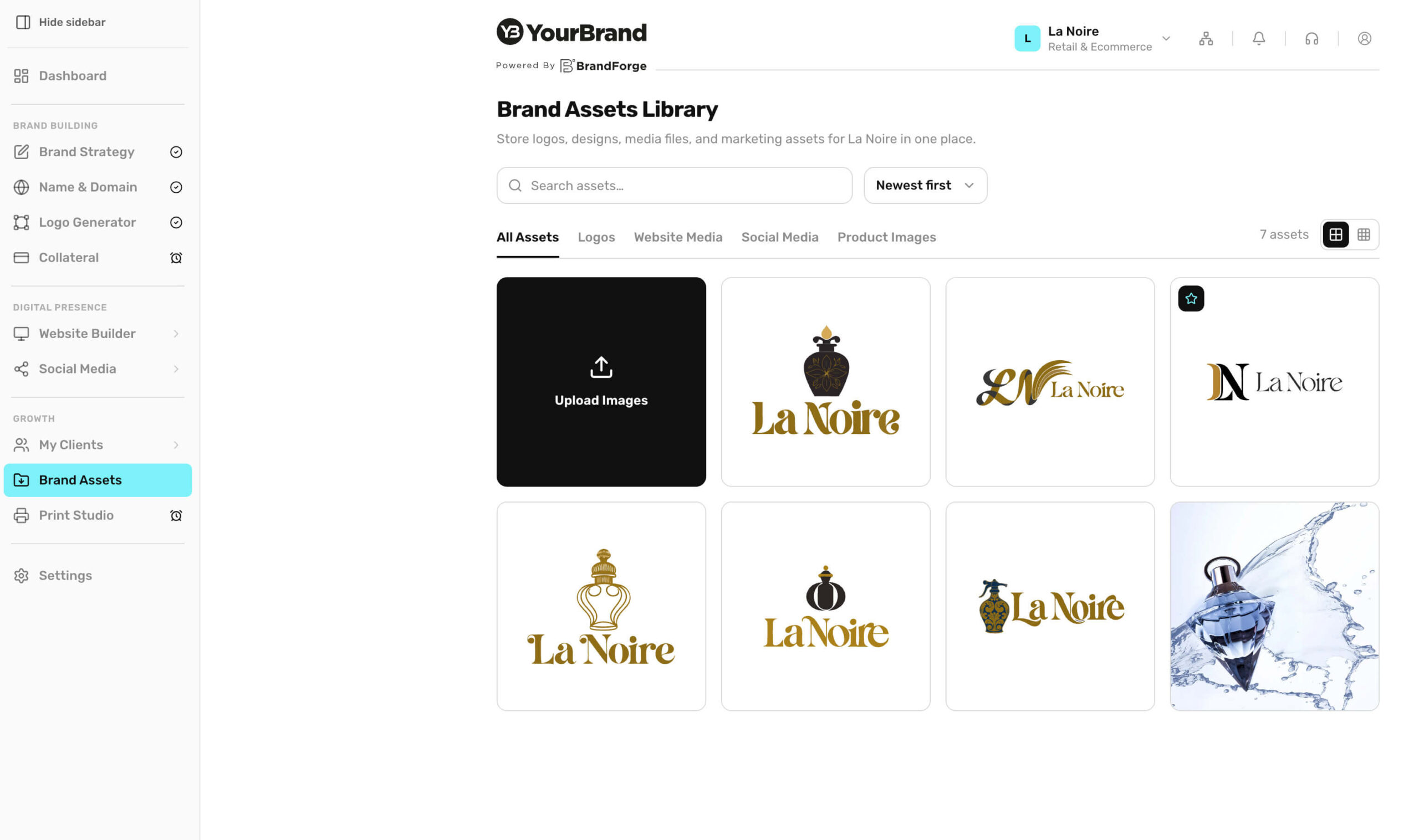 Brand assets workspace screenshot